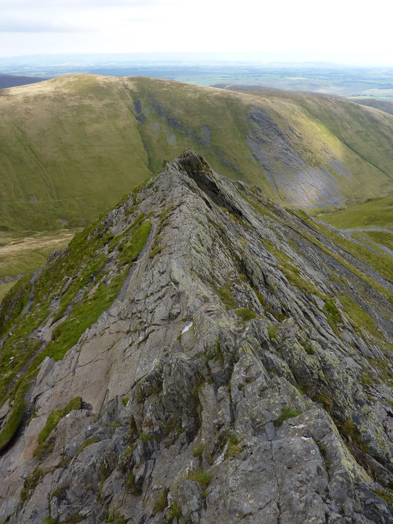 Sharp Edge